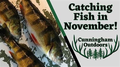 Catching Fish In November Peshtigo River 2020 Youtube