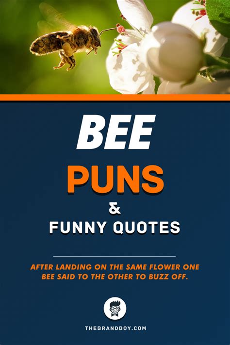 69 best bee puns and quotes artofit