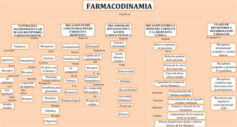 Mapas Conceptuales De La Farmacodinamia Descargar The Best