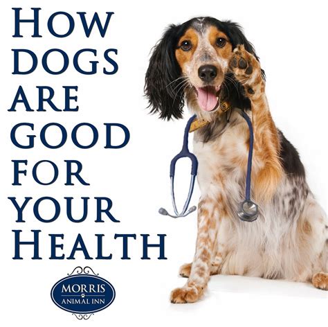 Freshpet dog recipes are made with the freshest ingredients and cooked at lower temperatures to lock in key nutrients. Health Benefits of Dogs - Morris Animal Inn