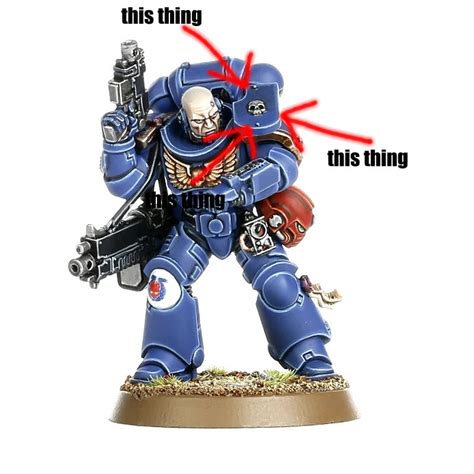 What Is The Shied Thing On Space Marines Rwarhammer40k