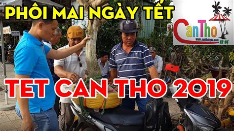 Can Tho Vietnam PhÔi Mai ĐẸp Cho NgÀy TẾt 2019 Travel Cantho Cần Thơ Ký Sự Youtube