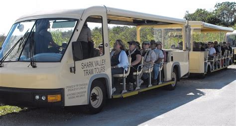 Shark Valley Tram Tours Miami Fl