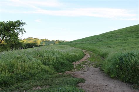 Free Stock Photo Of Dirt Path Through Tall Grass On Hill