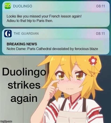 Some Senko San Memes Anime Amino