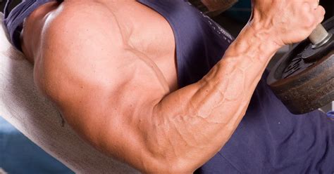 Je Biceps Trainen Doe Je Met Deze Power Oefeningen XXL Nutrition 19008
