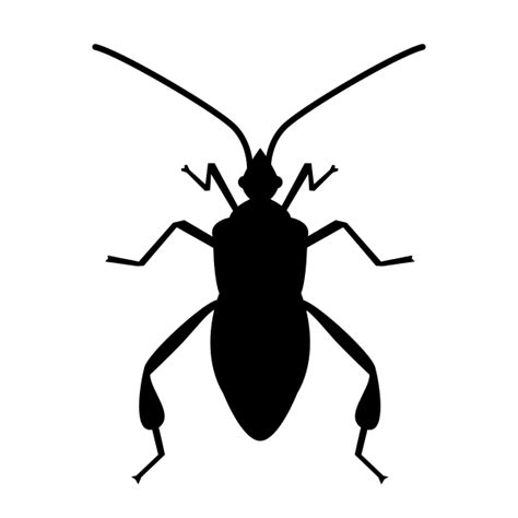 Free svg image & icon. File:Bug icon - Noun project 9935.svg - Wikimedia Commons