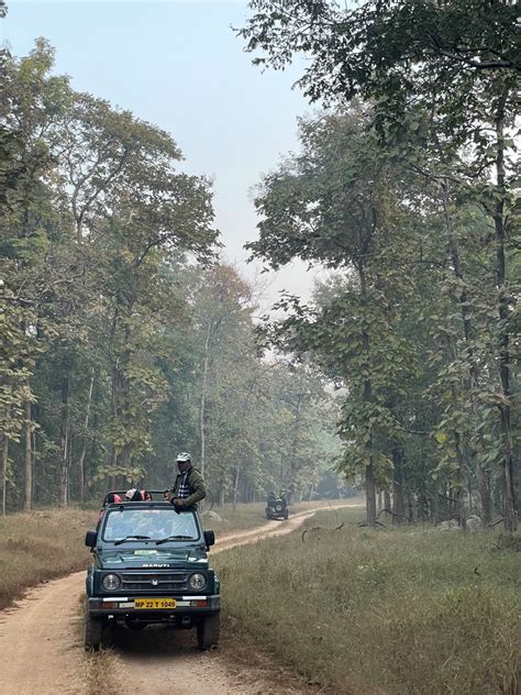 Travel Guide To Pench National Park And Pench Tiger Reserve