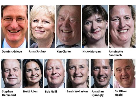 Find Out More About The 11 Tory Rebels Viribus News