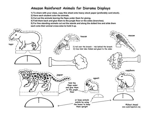 Tropical gardens are no longer exclusive to tropical areas. 7 Best Images of Rainforest Plants And Animals Printables ...