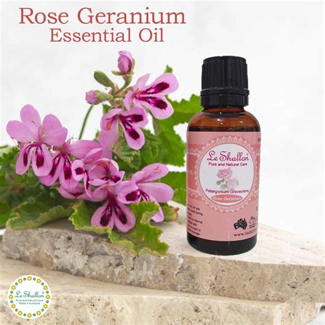 Rose Geranium Essential Oil Le Shallon Pure And Natural Care