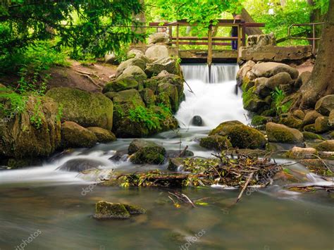 Waterfall In Woods Green Forest Stream In Oliva Park Gdansk Stock