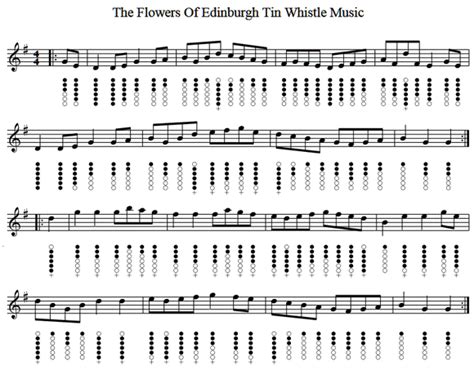 Standard settings follow, in the order: Flower Of Edinburgh Tin Whistle Music - Irish folk songs