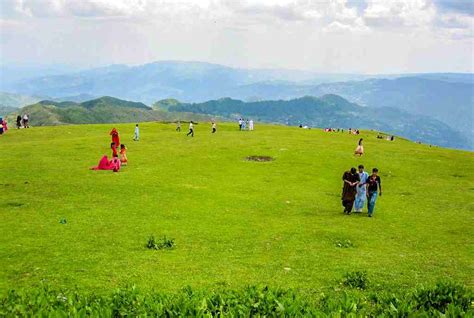 A Complete Travel Guide To Toli Peer Kashmir Prestine Travels And Tours