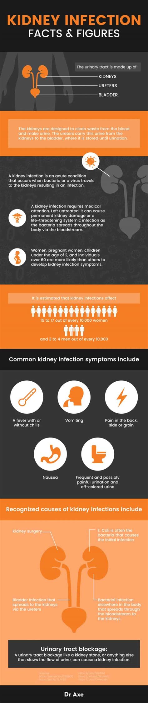 Kidney Infection Symptoms Understanding Treatment Dr Axe