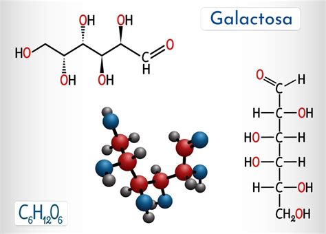 Galactosa Estructura Funciones Metabolismo Patologías