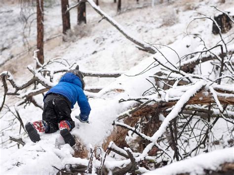 5 Reasons Kids Should Play Outside In The Winter Backwoods Mama
