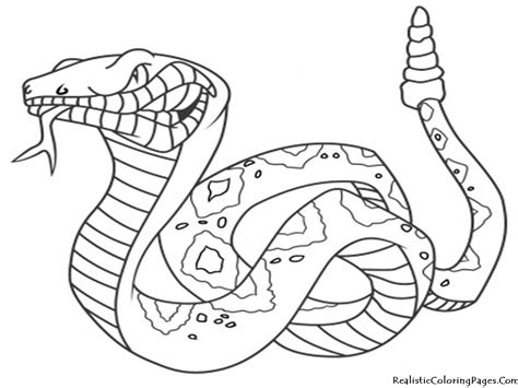 Wild Animals Coloring Pages Printable At Free Printable Colorings Pages To