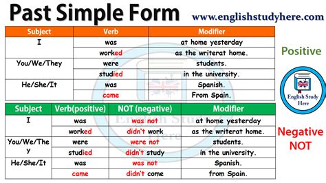 Past Simple Form Positive And Negative English Study Here