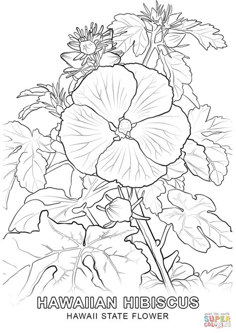 Print off these free hawaiian coloring pages to keep your kids busy at the airport and on the airplane ride to hawaii. Printable Coloring Pages Of Hawaiian Flowers - Coloring Home