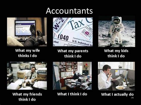 Accountant What I Think I Do Taxes Humor Accounting Humor Funny Puns