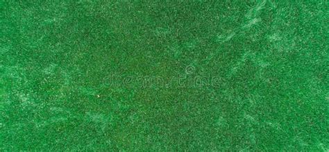 357 Texture Emerald Green Grass Lawn Stock Photos Free And Royalty Free