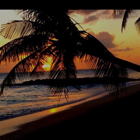 barbados sunset caribbean islands barbados sunset