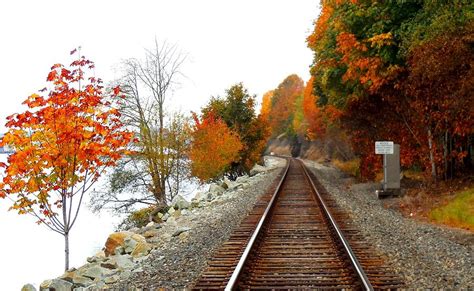 Autumn Train Tracks Photograph By Karen Molenaar Terrell