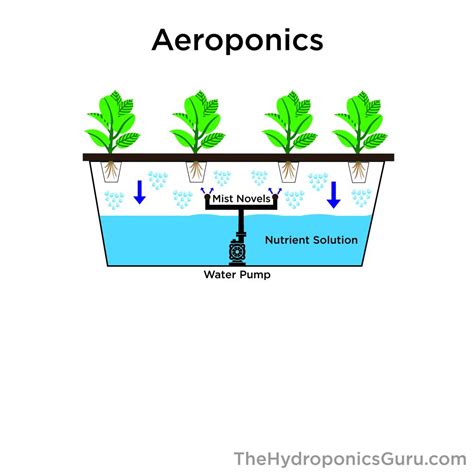 Our Buyers Guide To Hydroponics Systems The Hydroponics Guru