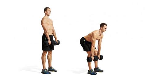 Stiff Leg Dumbbell Deadlift How To Benefits Muscles Worked