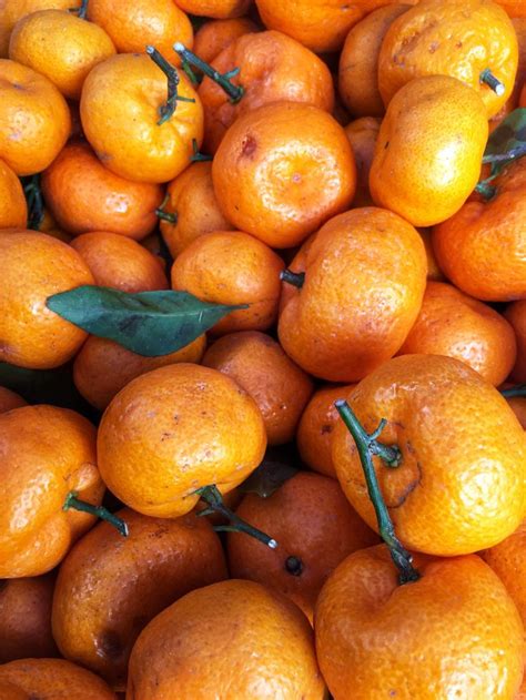 Kiat Kiat Fruit Orange Food