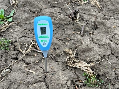 Soil Temperature And Early Planting Conditions Ohio Field Leader