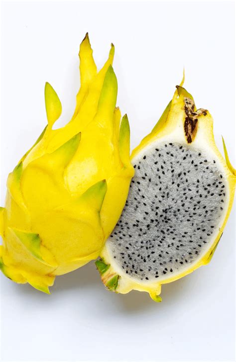 Seeds Shop Buy Yellow Dragon Fruit Seeds Pitaya Exotic Seeds