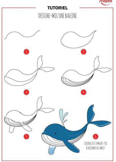 Une Baleine Facile à Dessiner Apprendre à Dessiner Dessin