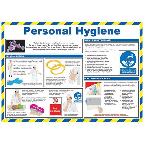 Personal Hygiene Essentials Safety Poster Shop Vrogue Co