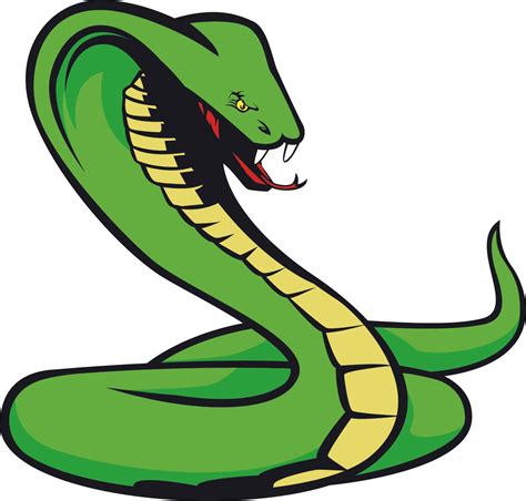 Snake Png Clipart 10 Free Cliparts Download Images On Clipground 2024
