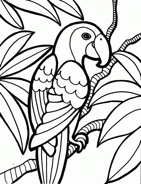 Printable Rainforest Coloring Pages Hot Sex Picture
