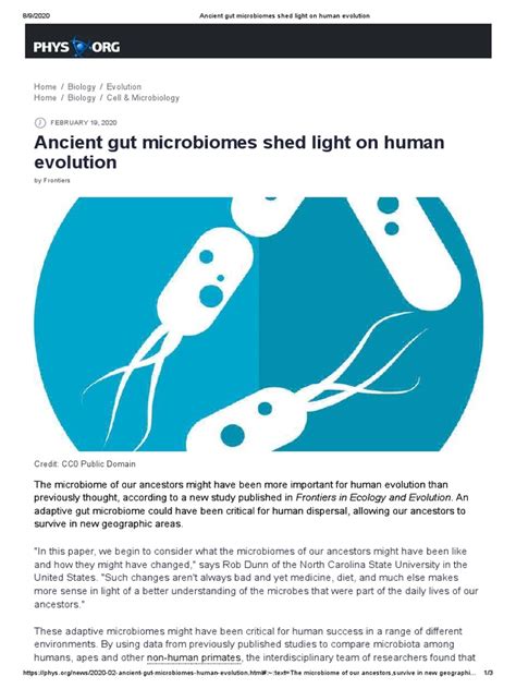 Ancient Gut Microbiomes Shed Light On Human Evolution Pdf Microbiota Microorganism