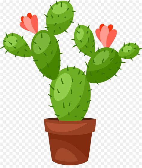 Cactus Vector Graphics Royalty Free Illustration Flowerpot Bonsai Png