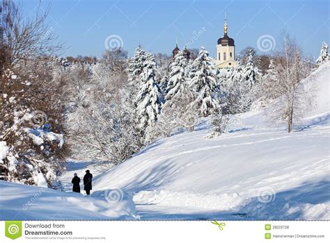 Beautiful Winter Landscape With Snow Covered Firs Stock
