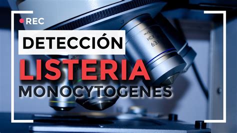 Listeria Monocytogenes Detección En Laboratorio De Microbiología