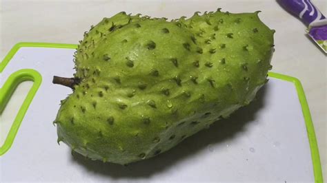 Overtime, belanda became a slang word meaning any light skinned foreigner. How to cut Soursop Fruit? What's inside? Tasting Durian ...