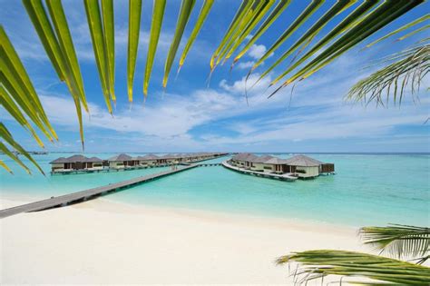 Resort Paradise Island Maldives Male City Maldives