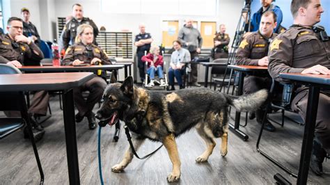 Vanderburgh County Sheriff K-9 receives national award for pot bust