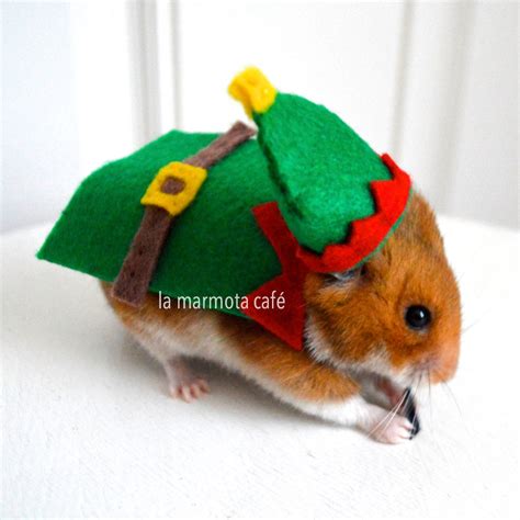 Hamster Christmas Elf Costume Chinchilla By Lamarmotacafe