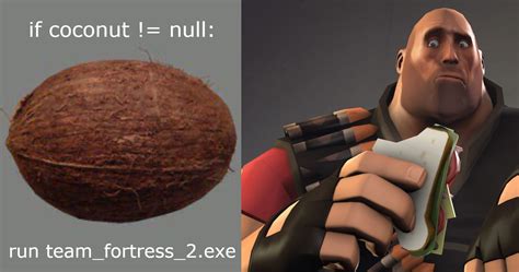 This Coconut  In Team Fortress 2s Game Files If Deleted Breaks The