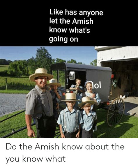 Do The Amish Know About The You Know What Reddit Meme On Meme
