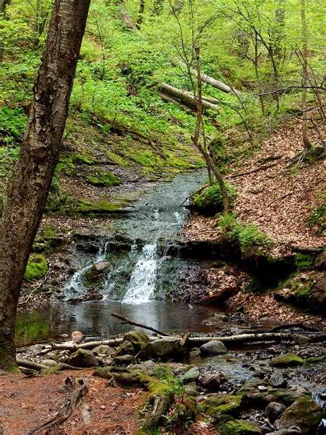 Parfreys Glen Devils Lake State Park Baraboo Wi Making Your Way To