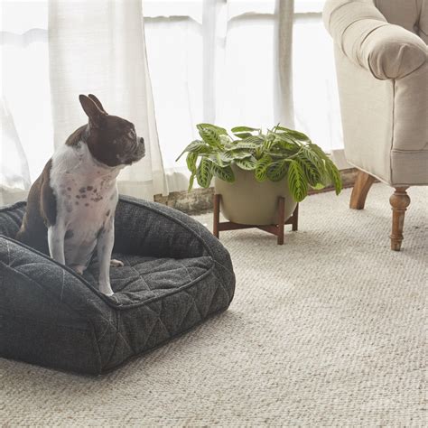 Large Orthopedic Dog Bed And Pet Beds Brentwood Home