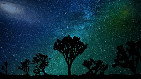 Download 1920x1080 Wallpaper Blue Green Sky Milky Way Joshua Tree